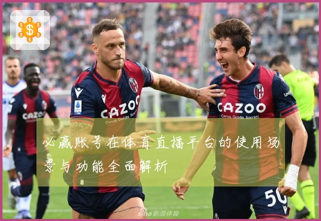 必赢账号在体育直播平台的使用场景与功能全面解析
