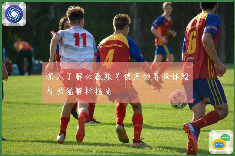 深入了解必赢账号使用的界面体验与功能解析指南