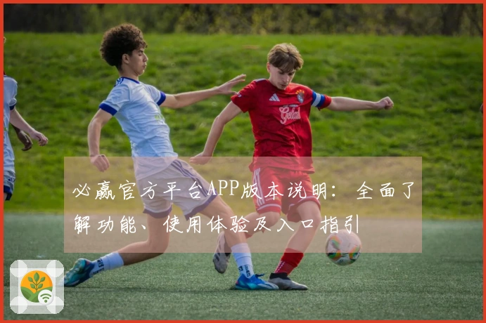 必赢官方平台APP版本说明:全面了解功能、使用体验及入口指引