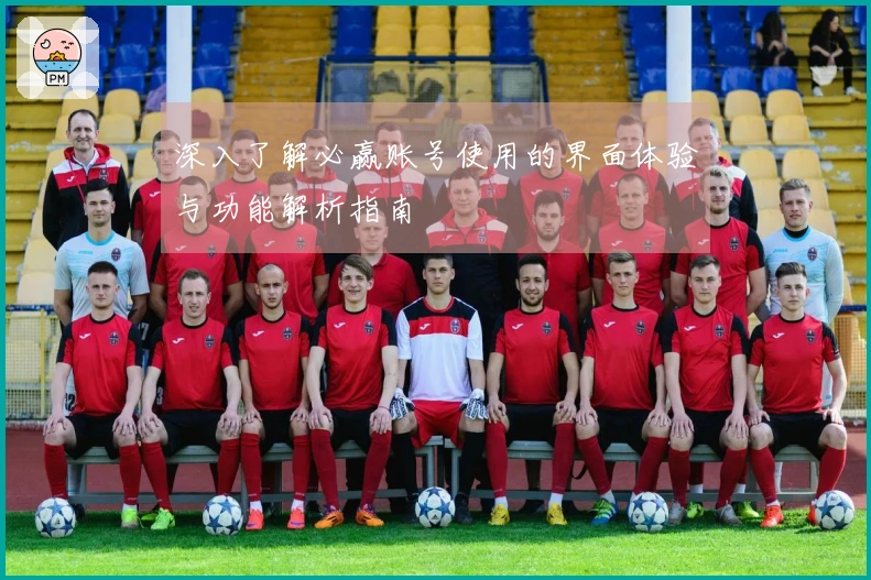 深入了解必赢账号使用的界面体验与功能解析指南